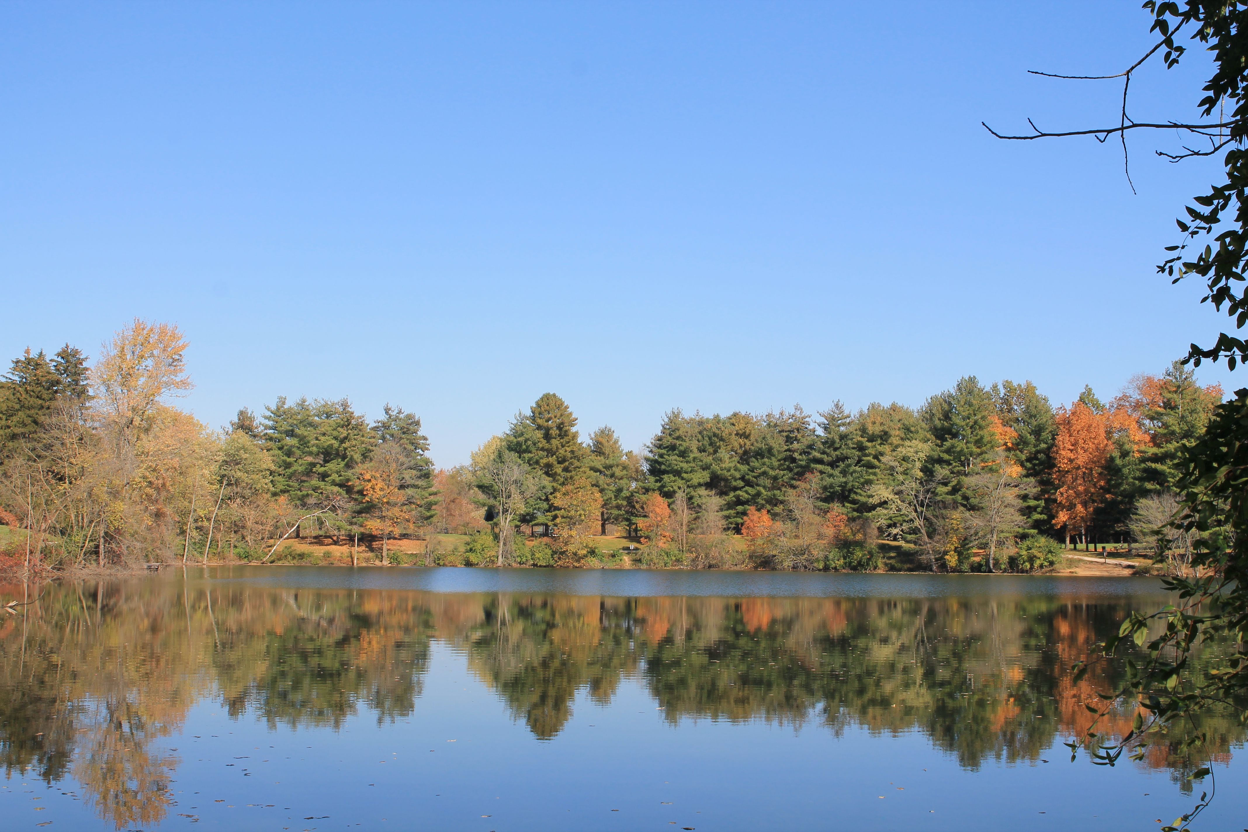 A view of fall color from across a creek at Three Creeks Park