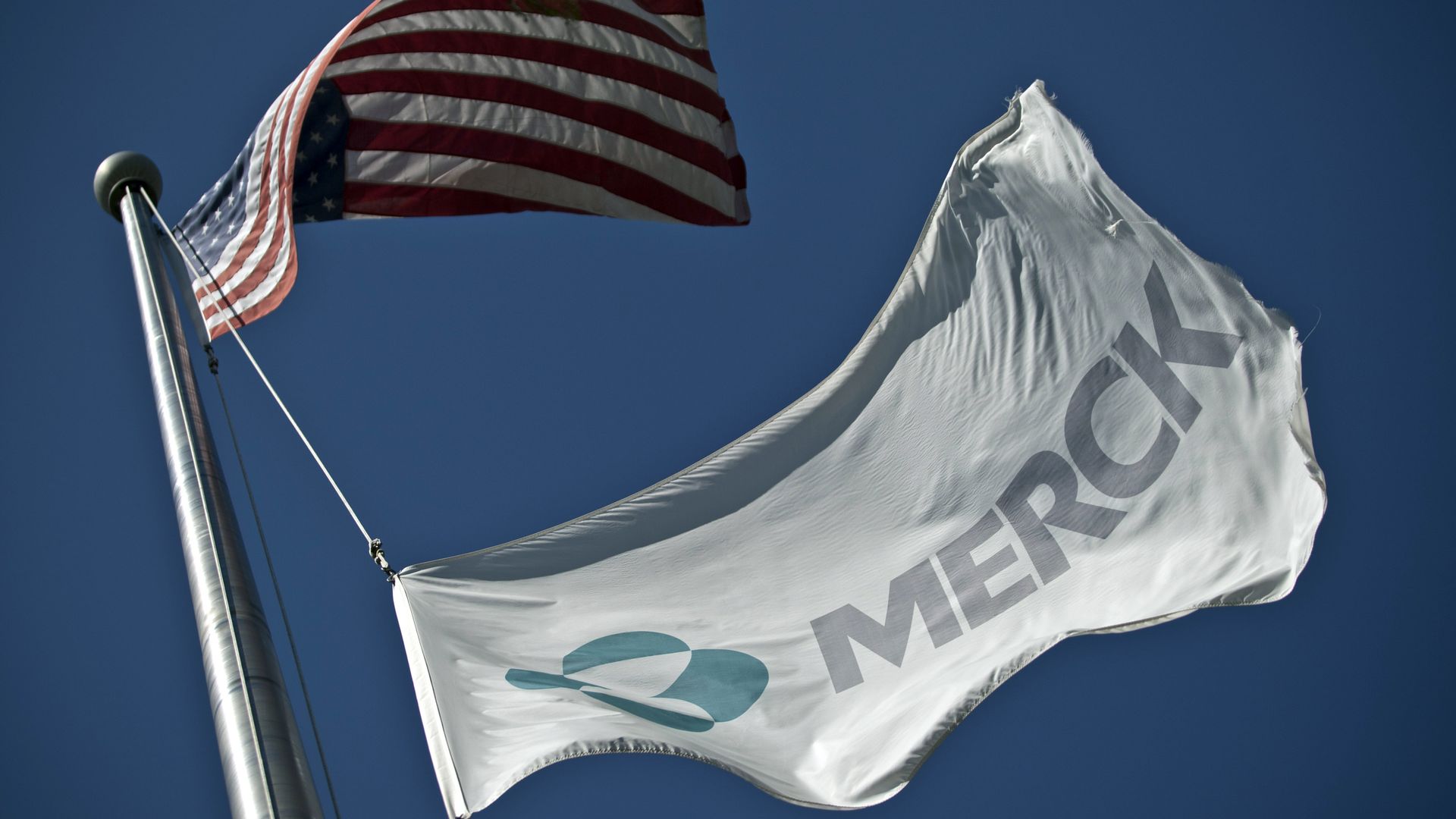 A Merck flag flies underneath the American flag.