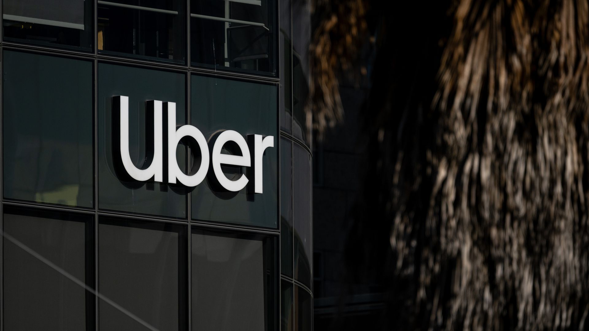 Close-up of a glass-front building with a large white Uber logo on the left; dark windows and a blurred brown palm-tree facade on the right.