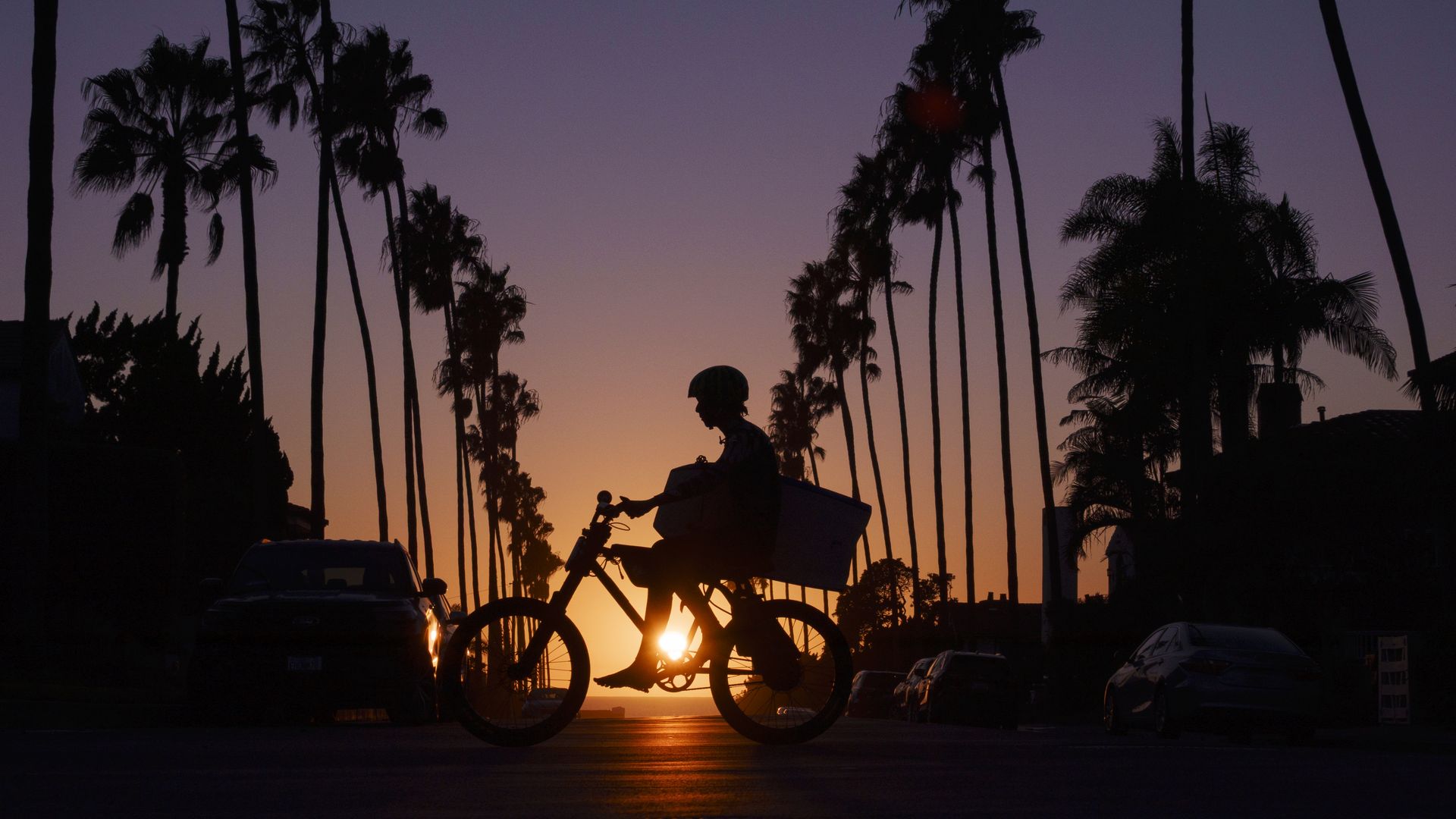 Silhouetted palm trees against a purple-orange sunset over water. A boy wearing a helmet sits on an e-bike carrying a boogie board in the foreground, with parked cars visible along the edges.