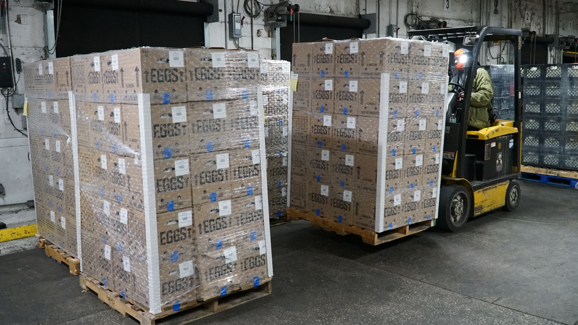 Warehouse scene with large pallets of taped cardboard boxes labeled EGGS wrapped in plastic, stacked on wooden pallets. A yellow forklift with a worker in a green coat operates near gray concrete walls and numbered bays.