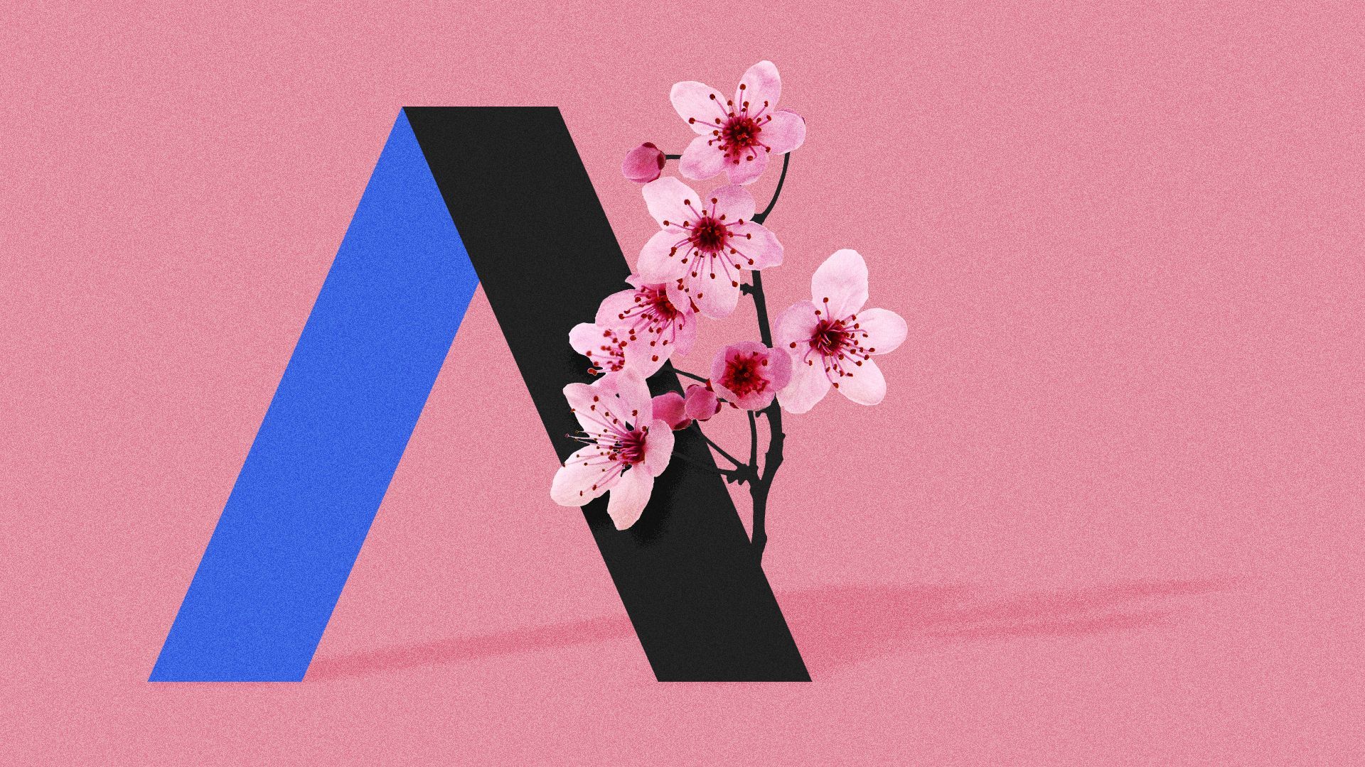 Illustration of the Axios logo growing a cherry blossom branch.