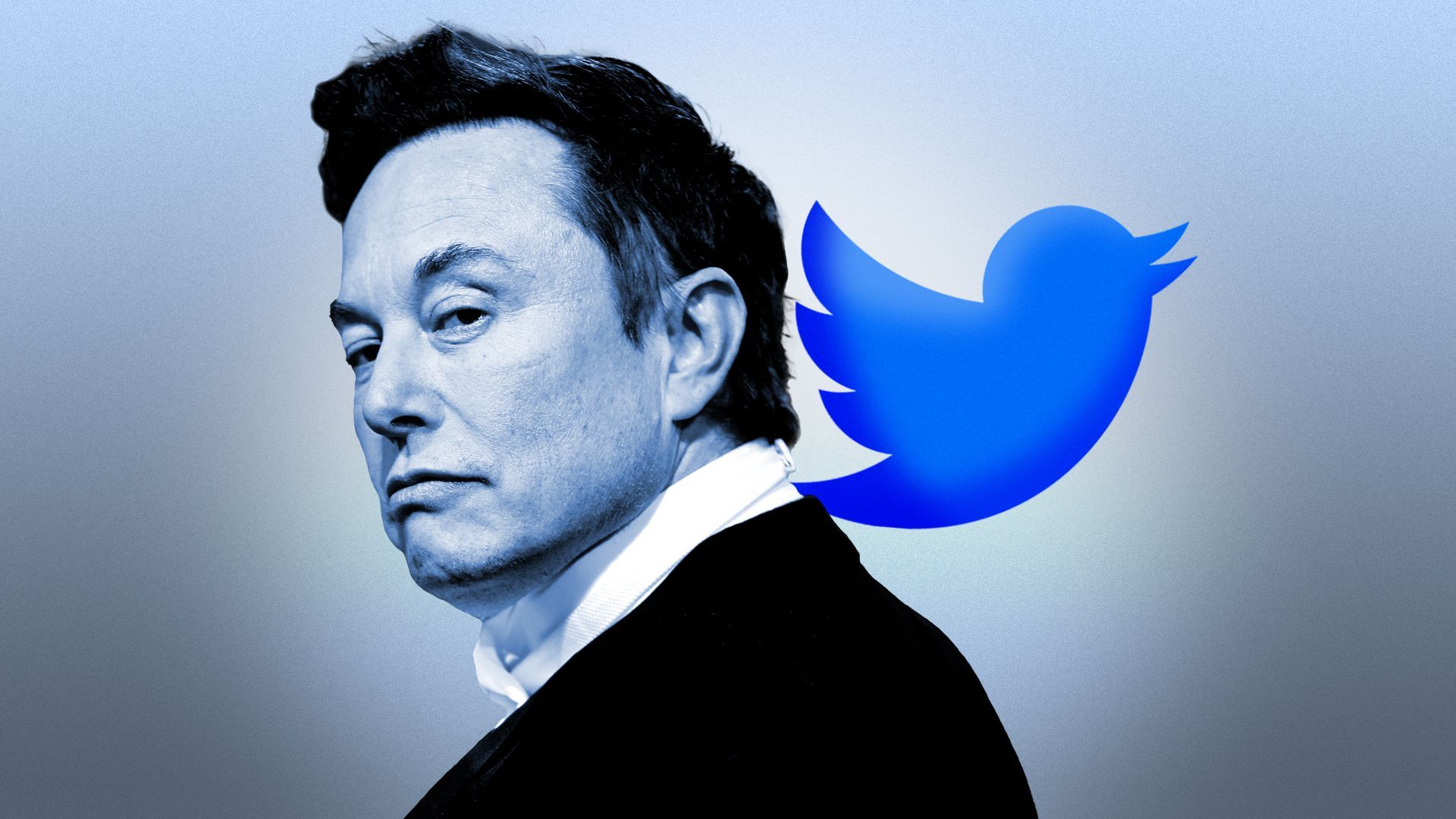 Photo illustration of Elon Musk next to the twitter logo