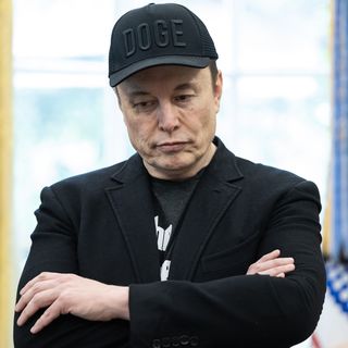 Elon Musk's Wikipedia rival site live after crashing on launch day