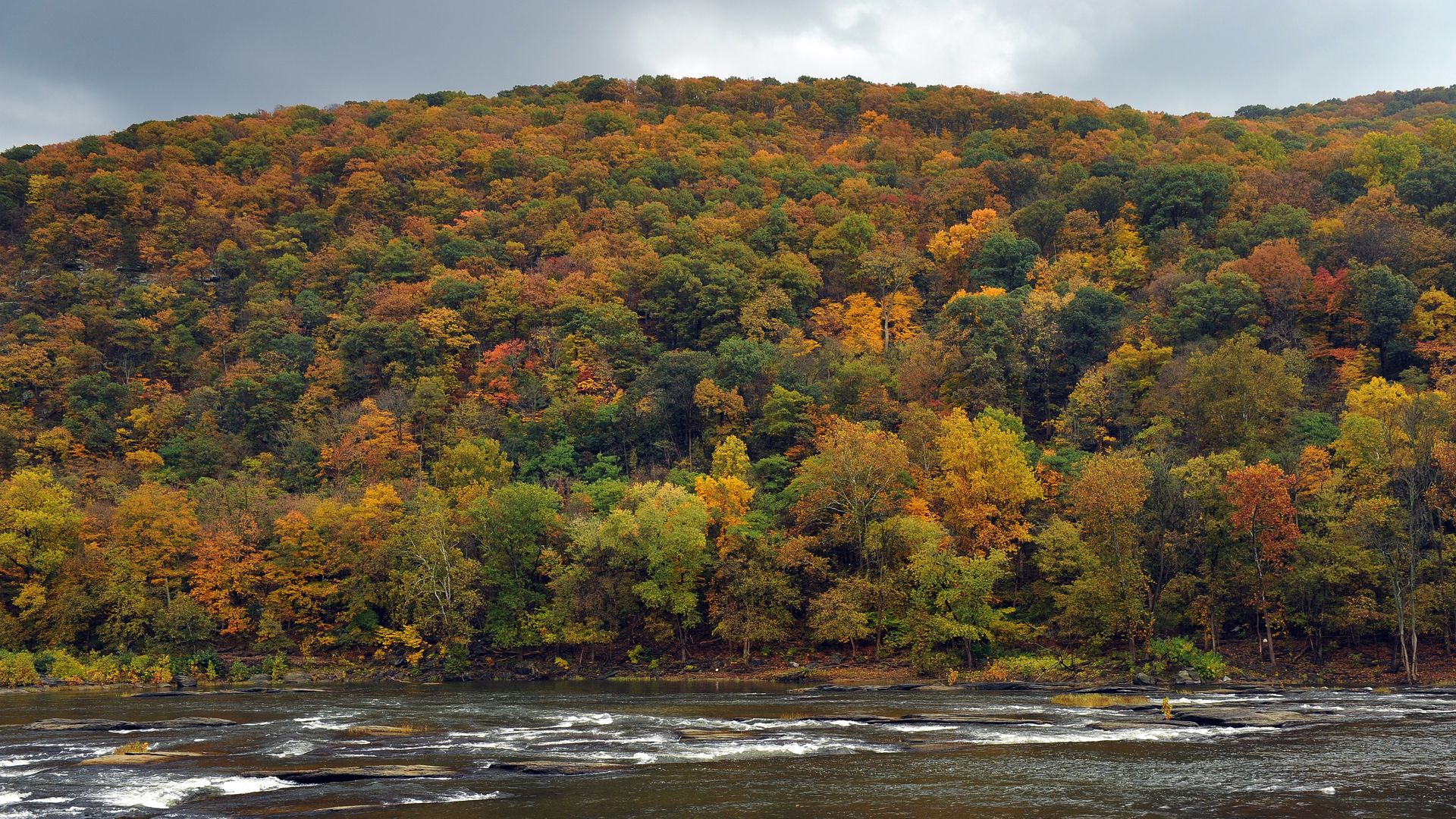 Fall foliage on a West Virginia mountain in front of a body of water.