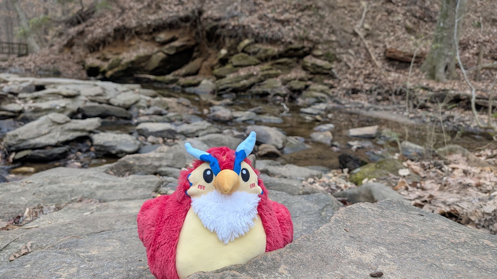 A colorful plush toy with blue horns, red fur, yellow face and white chest sits on a flat rock by a rocky stream in a leaf-covered forest.