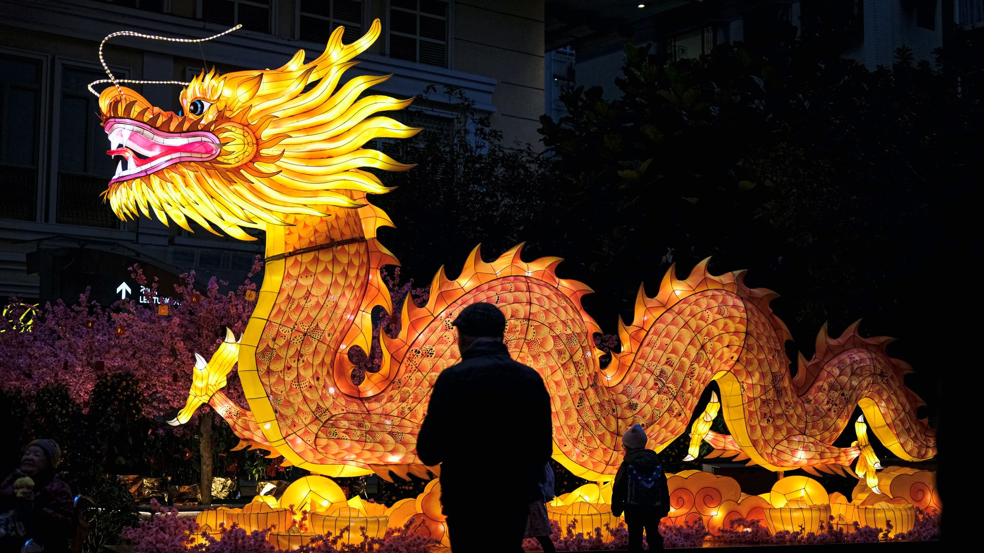 A light-up dragon art installation