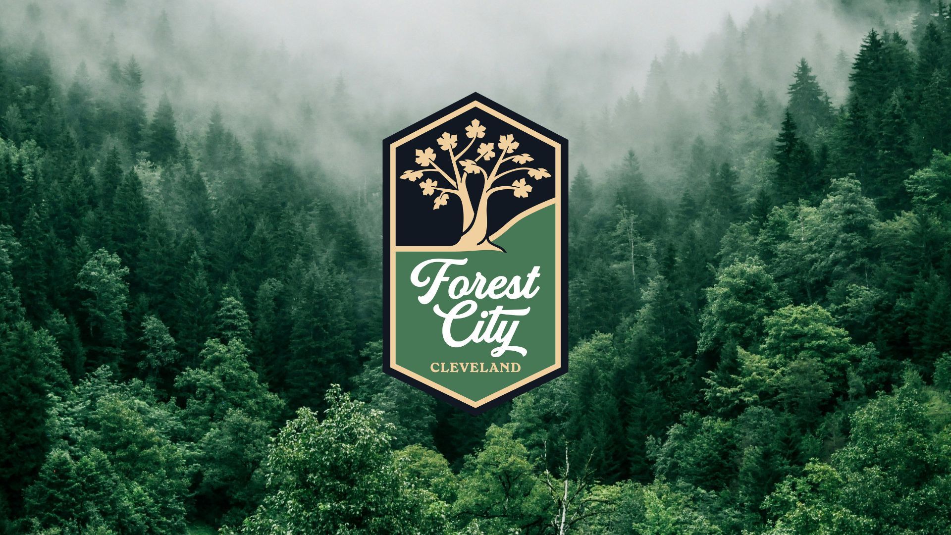 Green forest with mist above trees and a central logo featuring a beige tree, green hill, and text "Forest City Cleveland" in white and beige.
