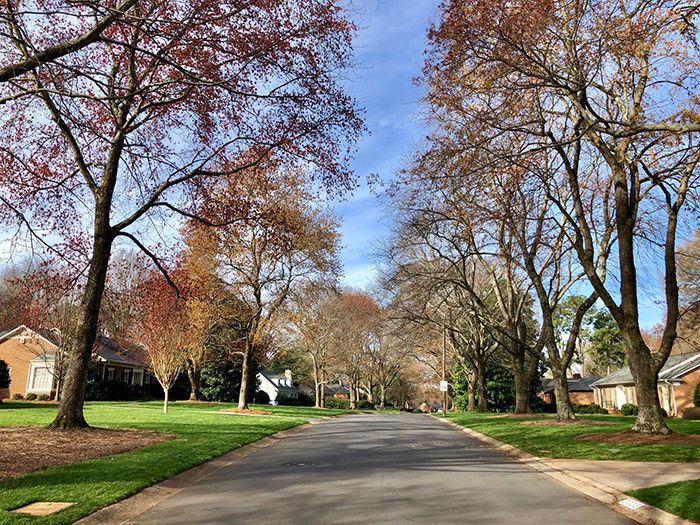 open-houses-street-in-charlotte