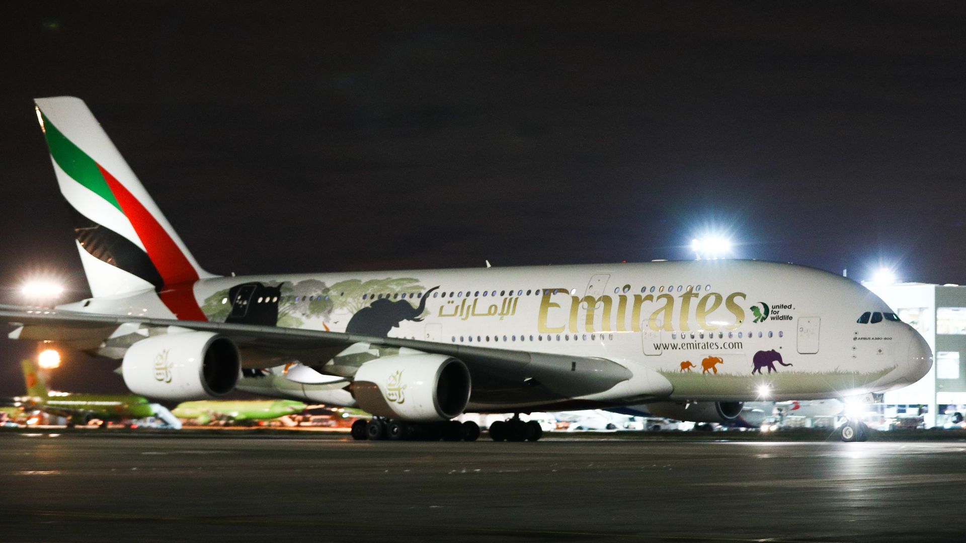 Emirates plane 800 passenger
