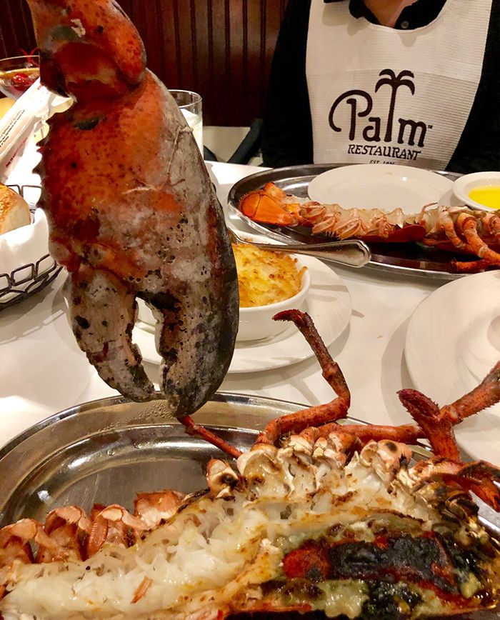 lobster claw at the palm in charlotte