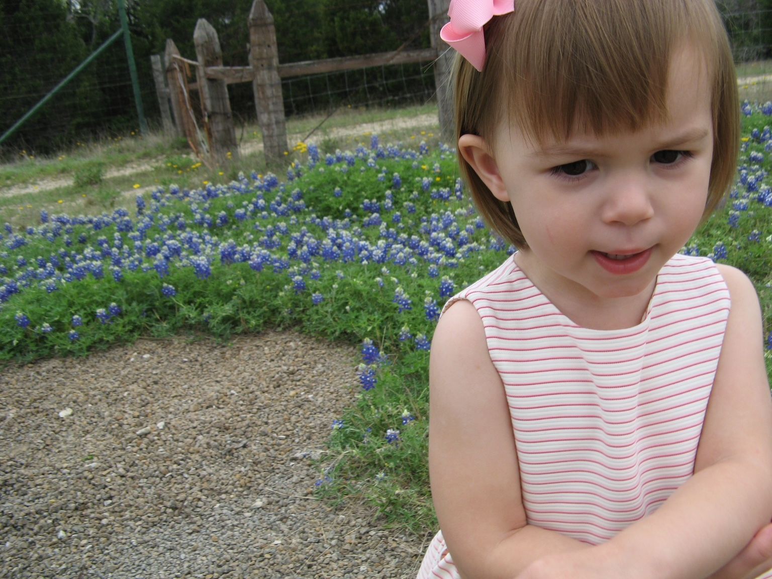 A young girl with a pink bow in her light brown hair, wearing a sleeveless white and pink striped dress, stands by a gravel path in a field of blue flowers, with a wooden fence in the background.