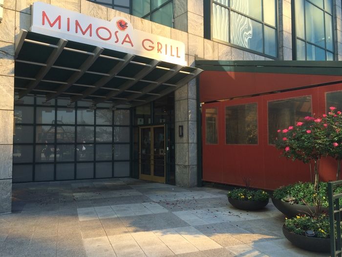 Mimosa Grill