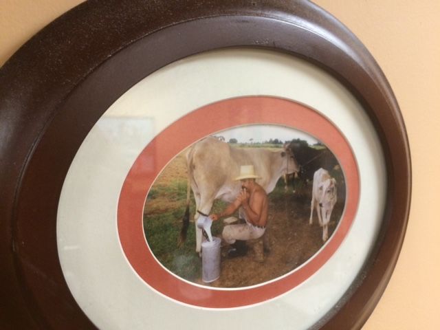 cuban decor in charlotte