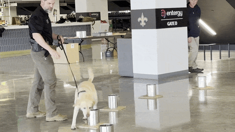 A yellow dog smells cans and is rewarded by an ATF officer with a treat.