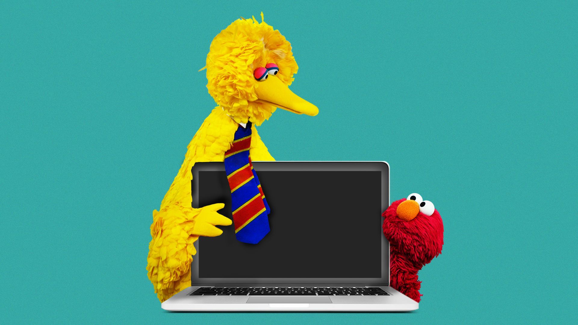 Photo illustration of Big Bird and Elmo looking at a laptop computer.