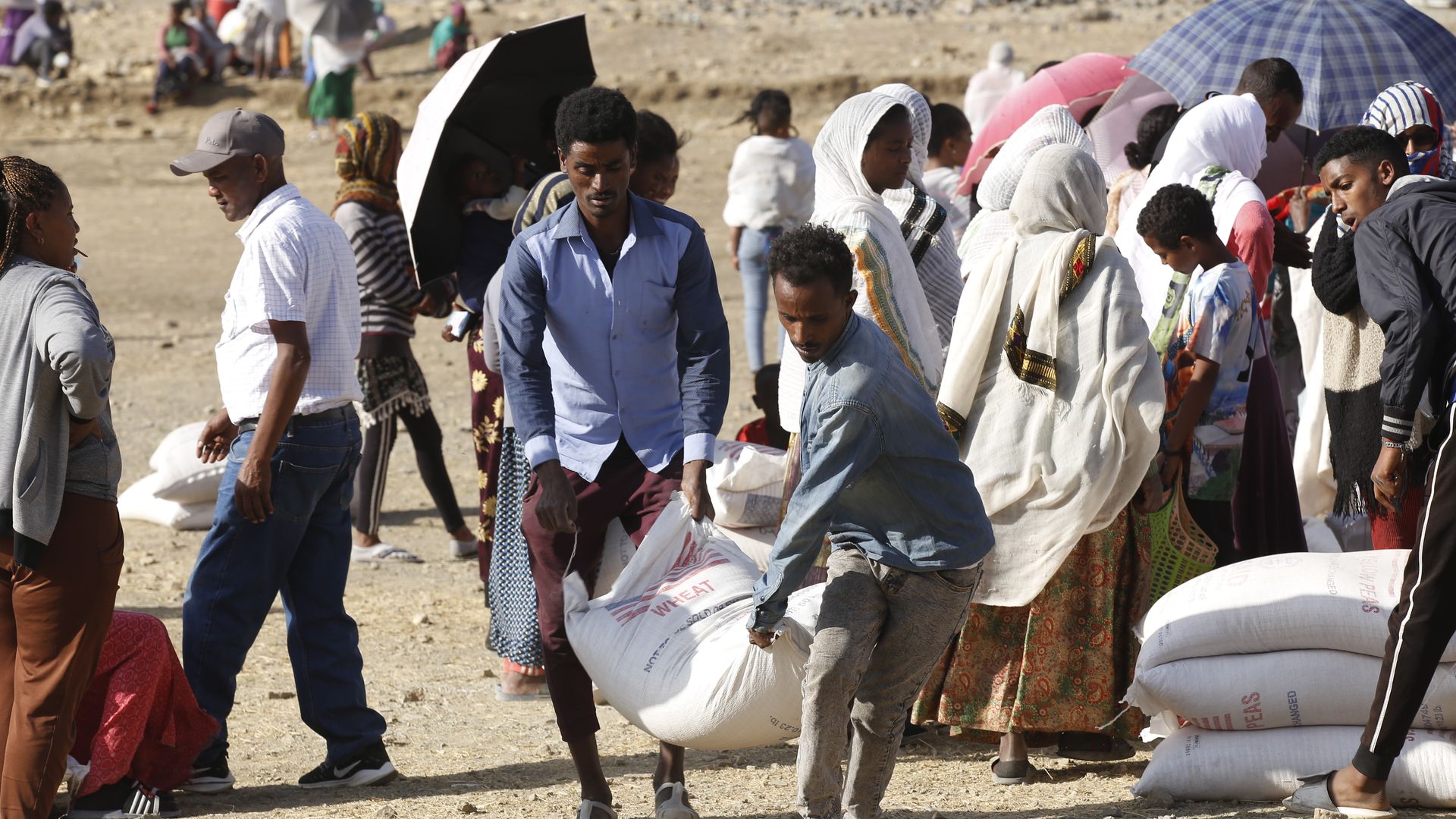 Refugees in the Tigray region collect food aid.