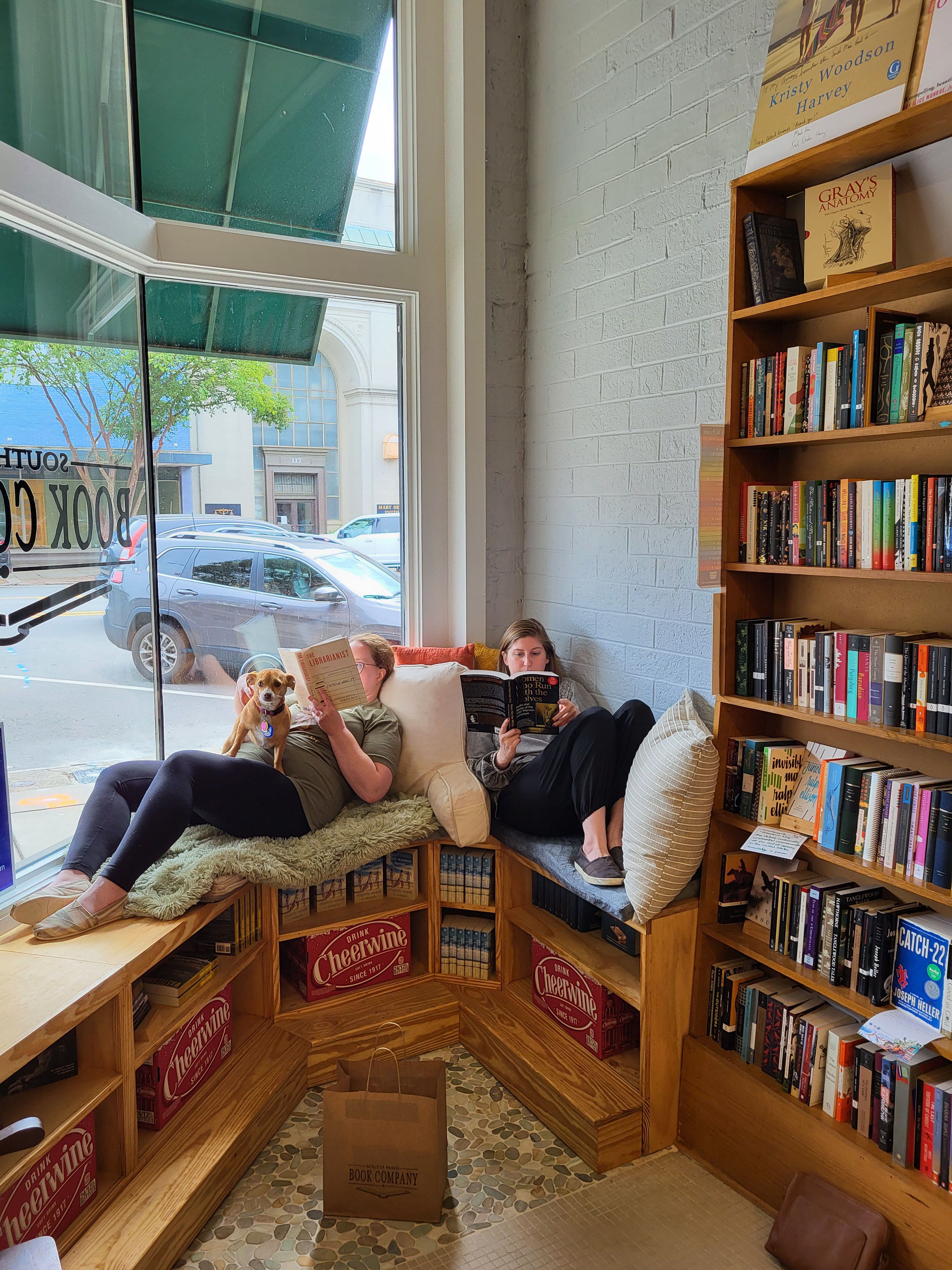 South Main Book Company shop dog, Hazelnut. 