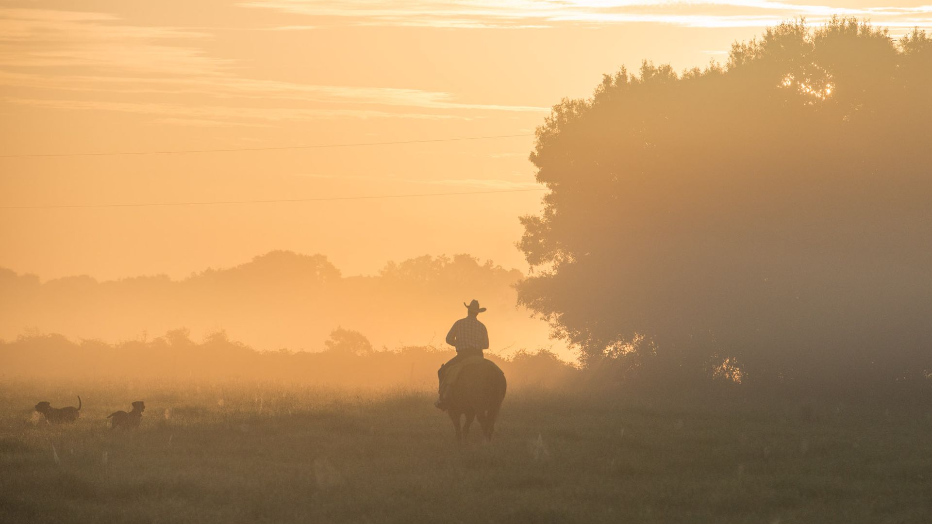 A cowboy rides across a Florida field.