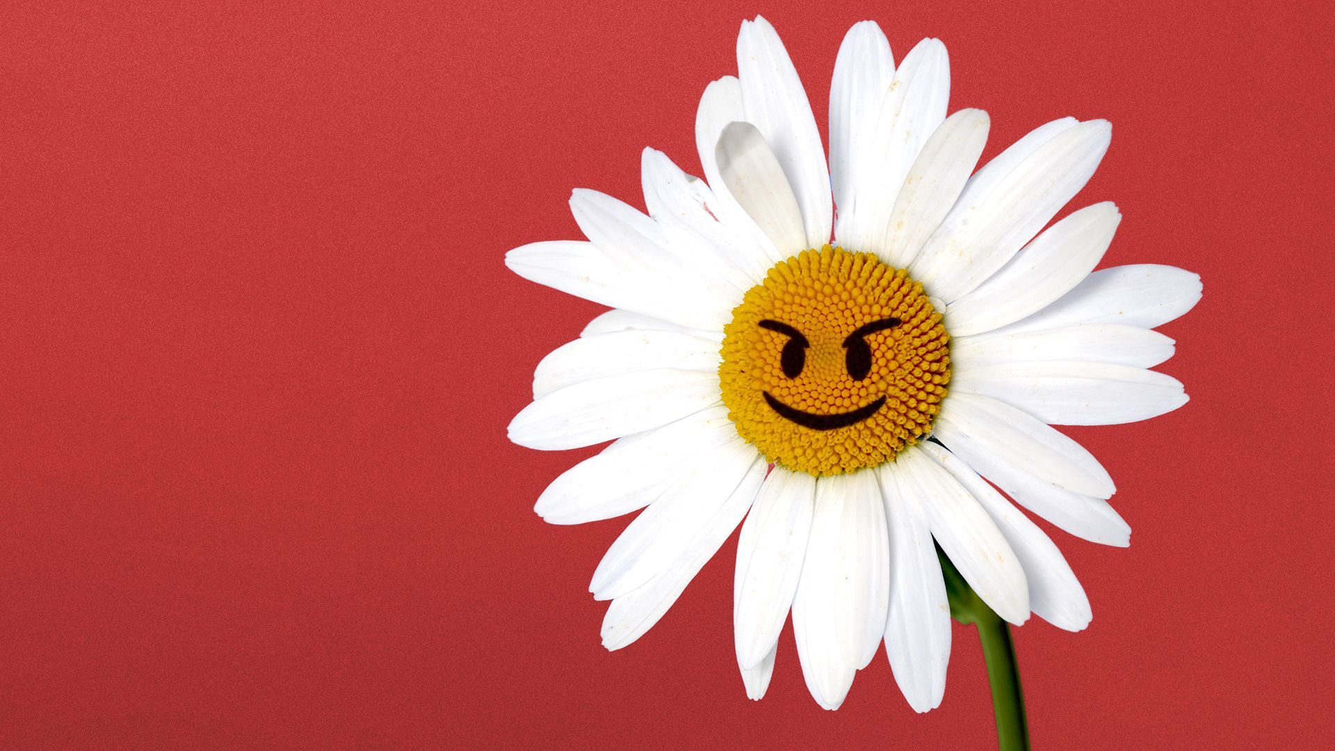 Illustration of a flower with a menacing look