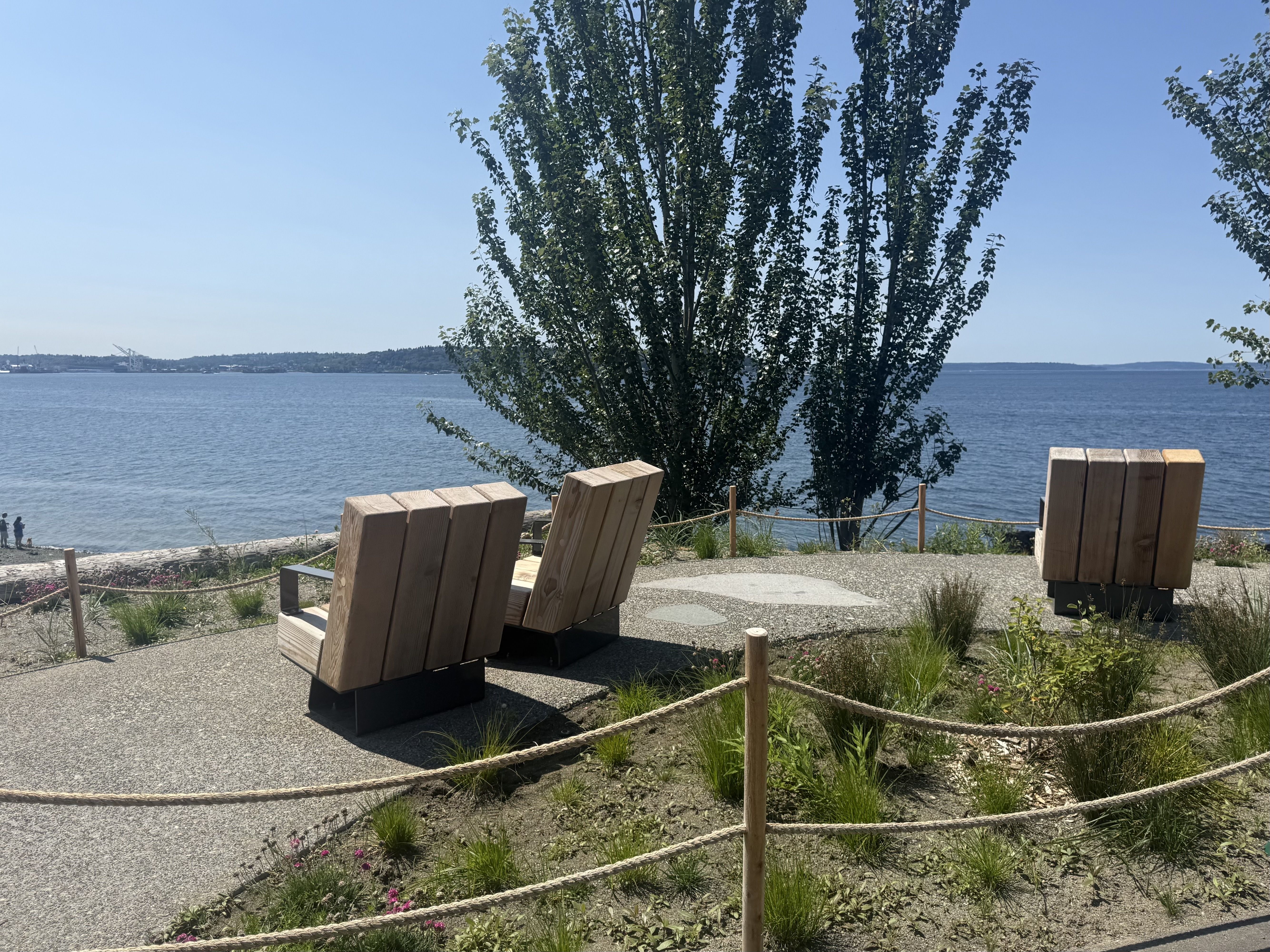 Wide blue lake under a clear sky with a cluster of tall trees and wooden benches in the foreground; a rope fence, pebbled path, and small pink flowers.