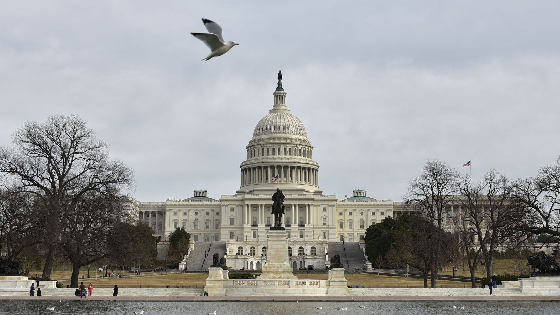 U.S Capitol Building