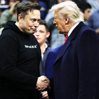 Musk offers to pay TSA salaries, as Trump floats ICE at airports