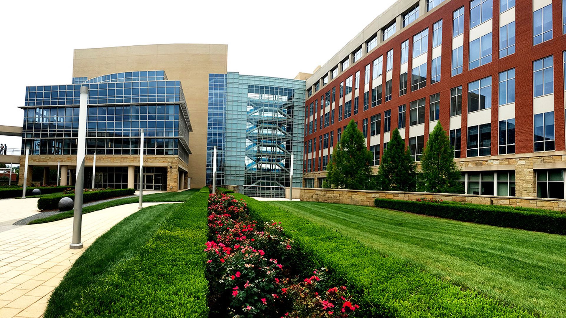 marketing-advertising-communication-media-salaries-in-charlotte-nc