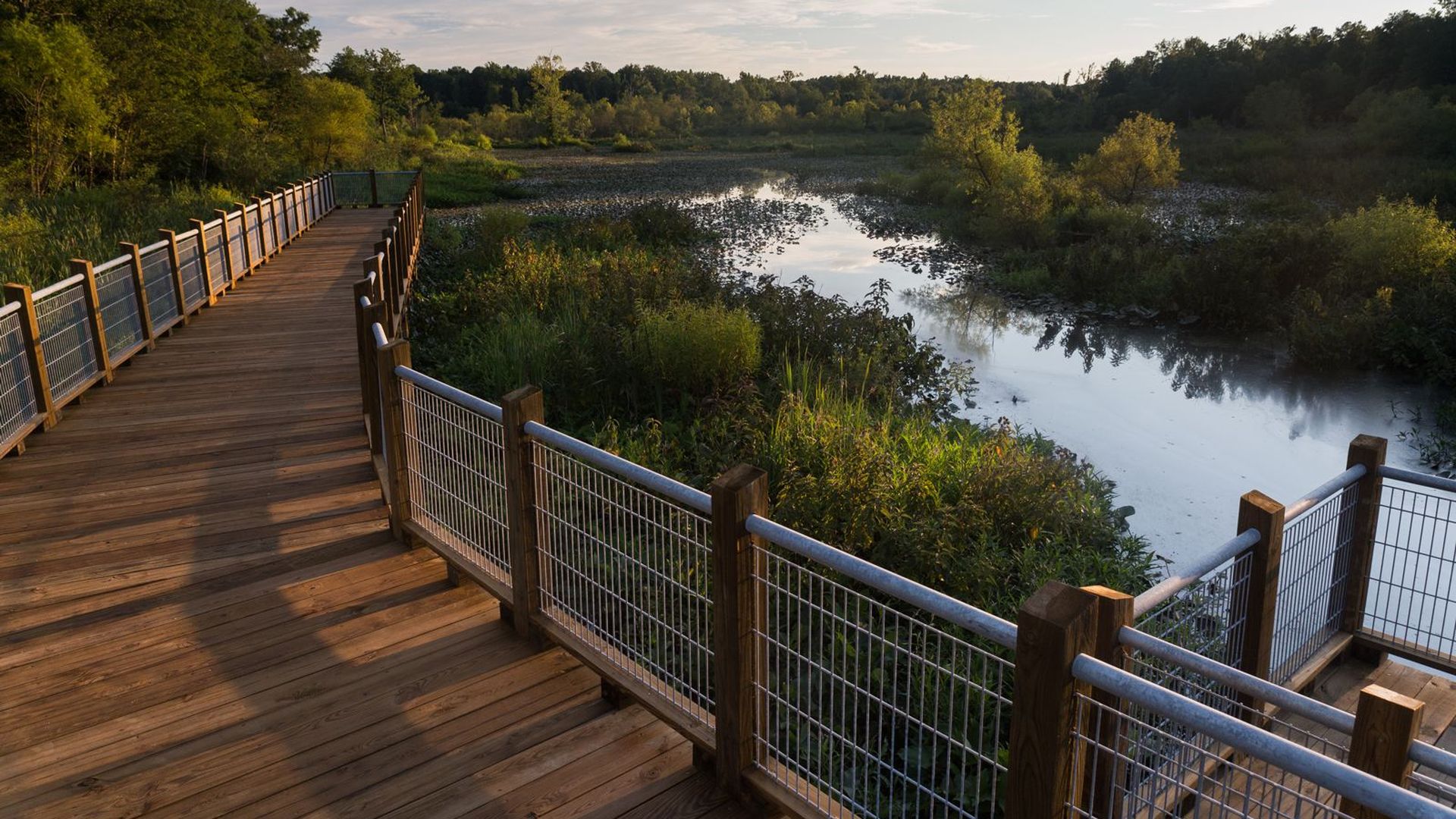 a pretty wooden walkway along a stream 