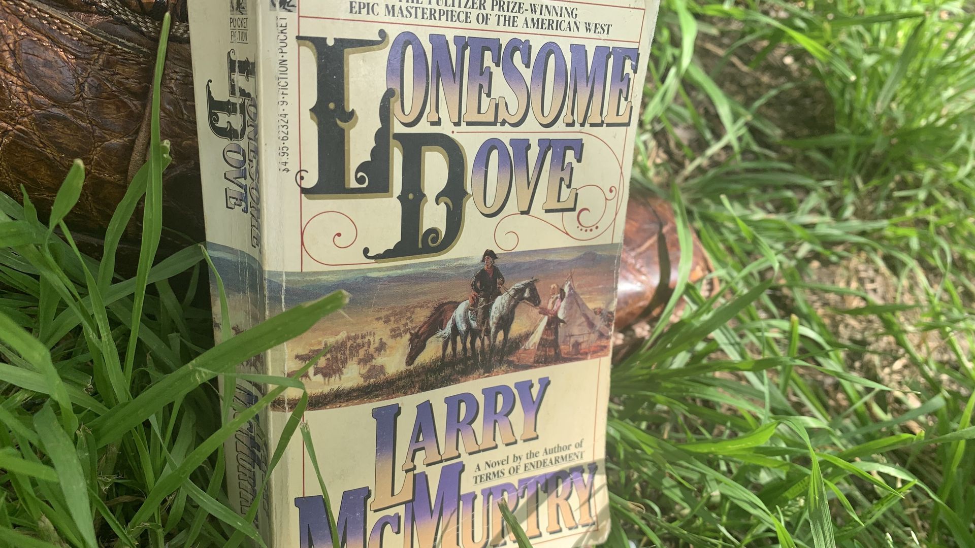 A copy of Lonesome Dove is pictured among grass