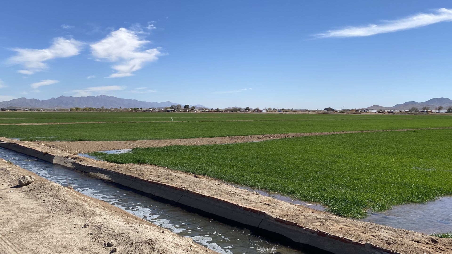An irrigation ditch runs alongside farmland in the desert.