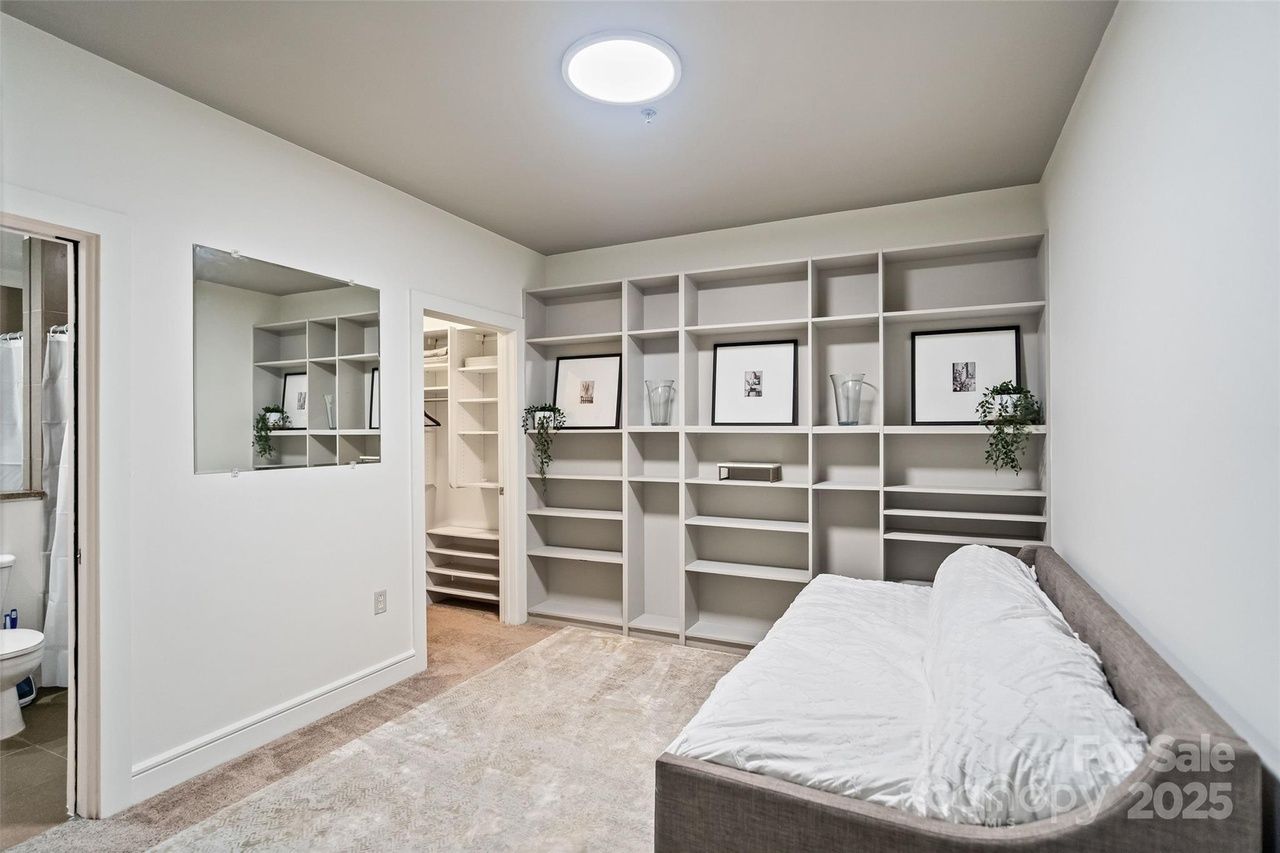 Minimalist room with beige carpet, large bookshelf with framed pictures and plants, a gray sofa bed with white covers, doorway to bathroom and walk-in closet, and ceiling light.