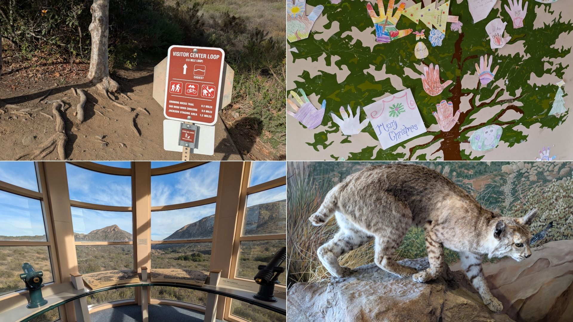 Four images: trailhead sign for Visitor Center Loop hike in woods; handprint and Christmas-themed paper decorations on green tree mural; lookout tower interior with binoculars and mountain views; taxidermy bobcat posed on rock.