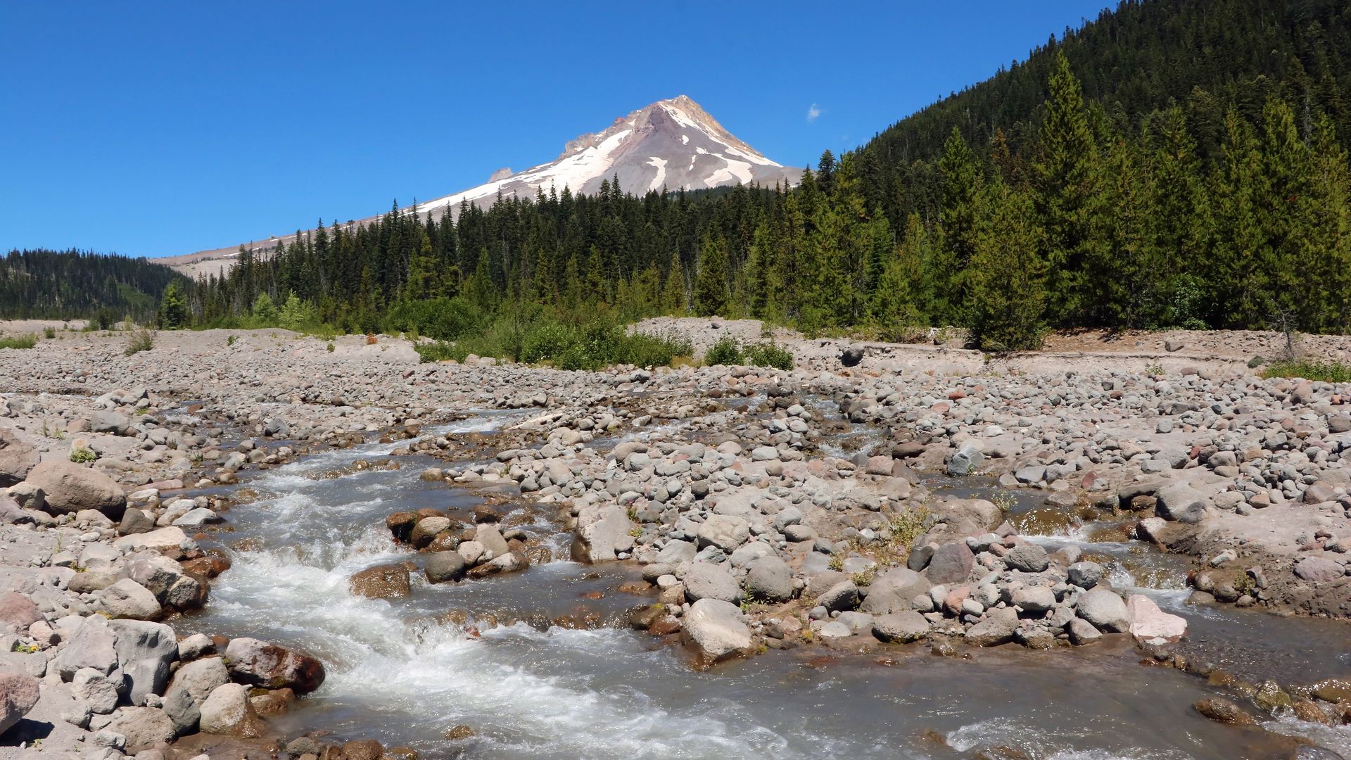A rocky riverbed with fast-flowing water threads through gray and brown stones, edged by a dense evergreen forest. In the distance, a snow-capped mountain rises under a bright blue sky.