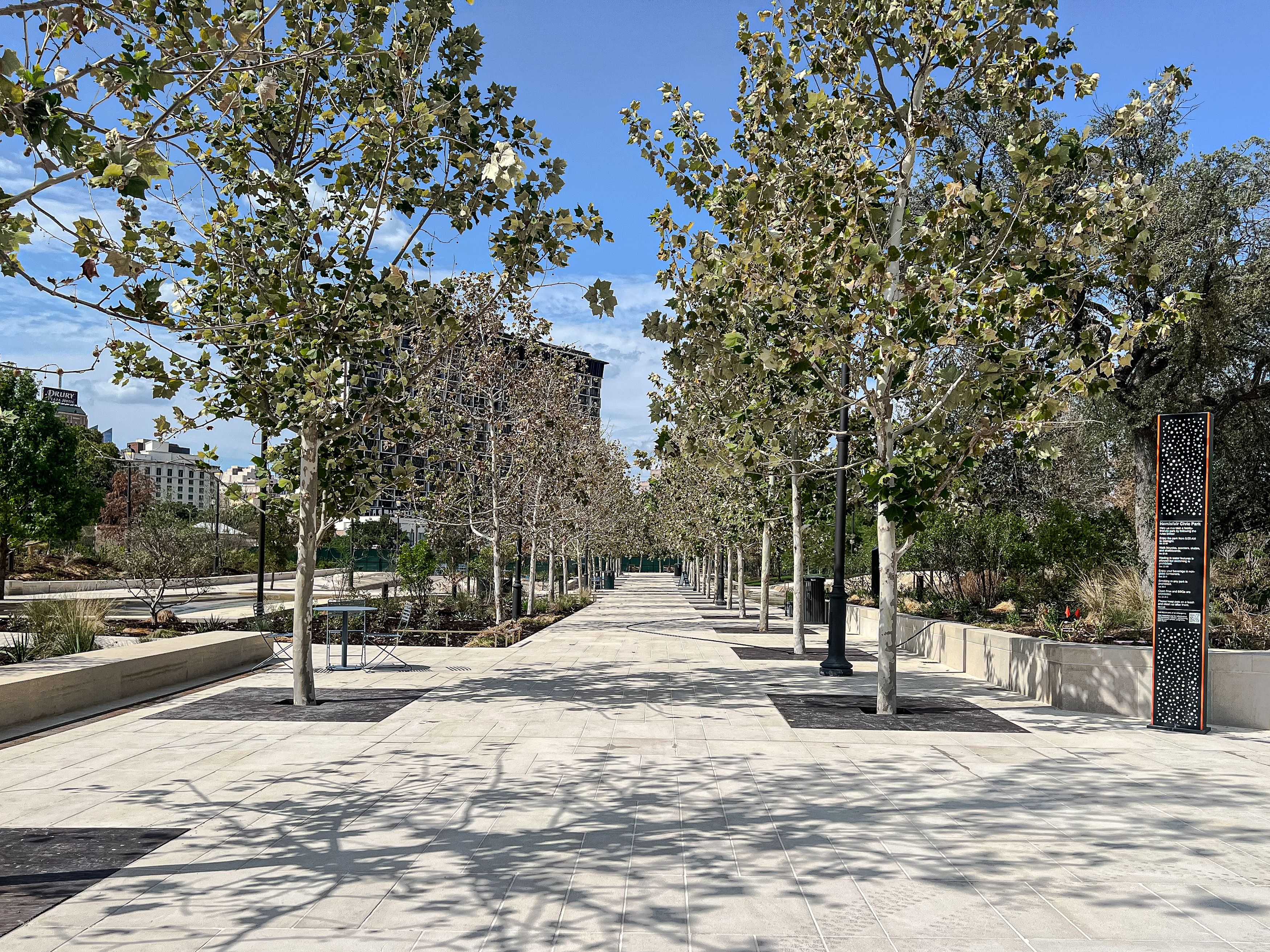 A tree-lined walkway.