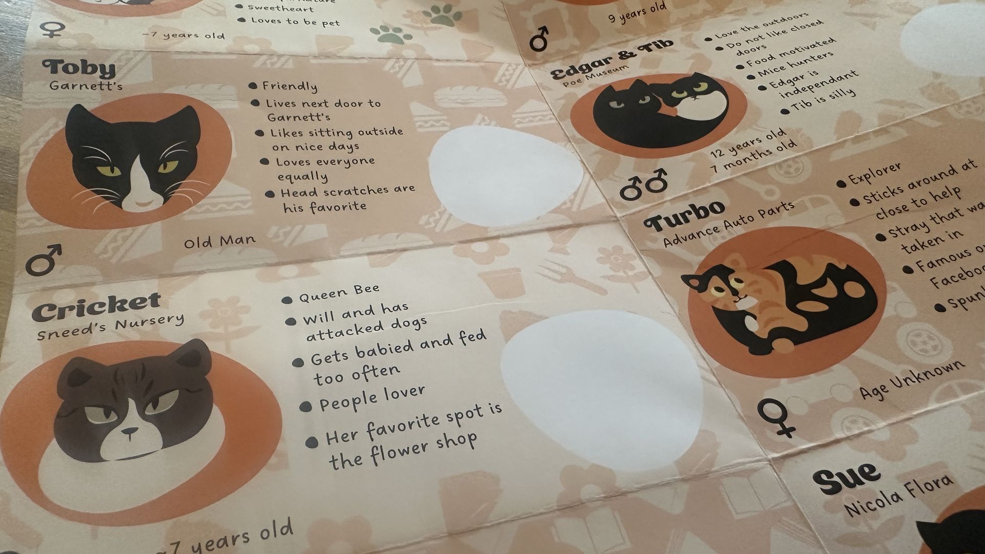 a poster with cat heads and bios 