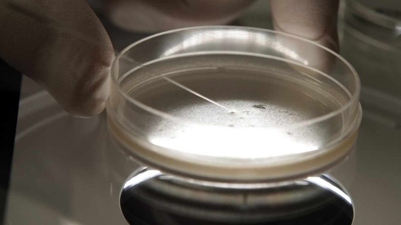 Scientists edit human embryos for first time in the U.S.