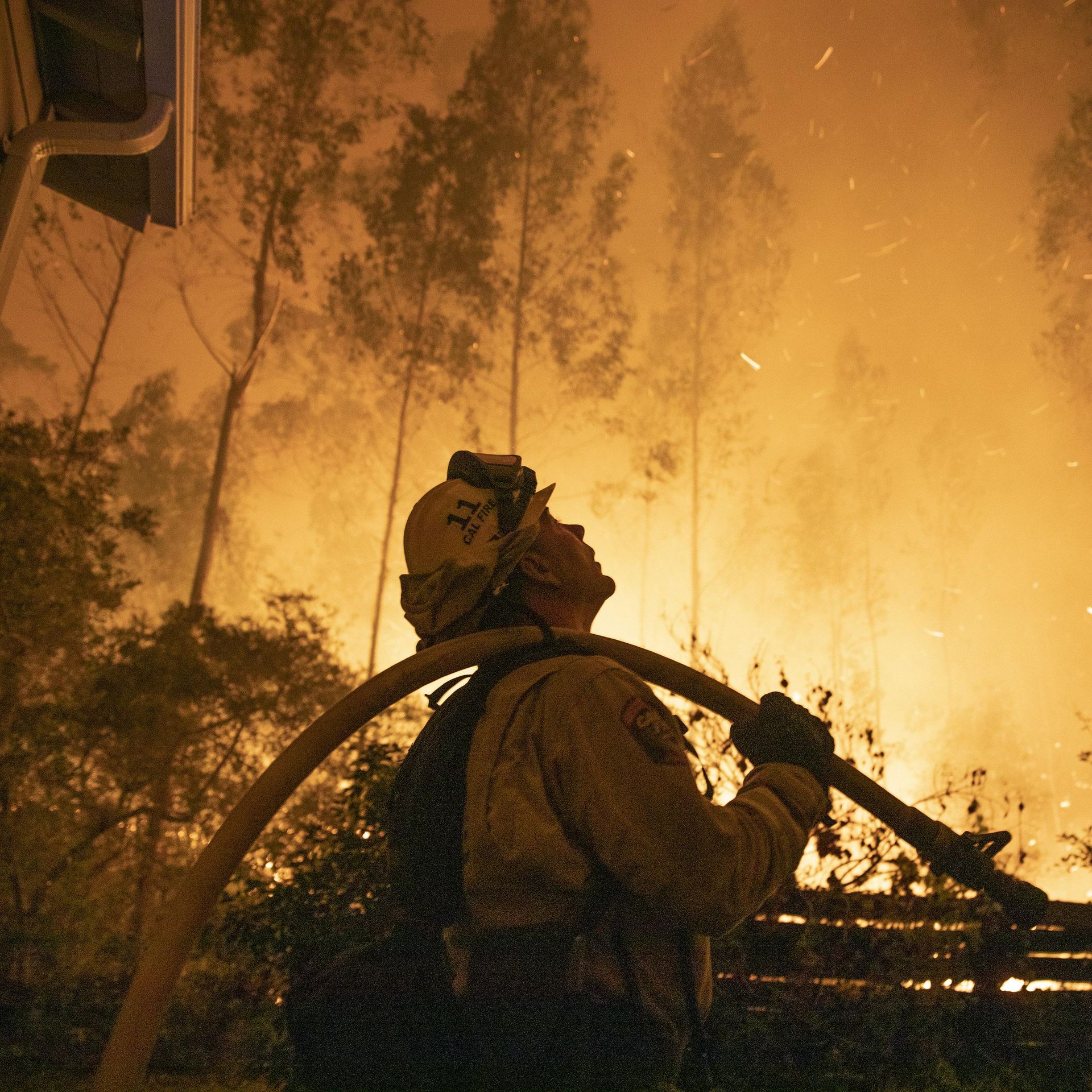 First annual National Wildland Firefighter Day - Wildfire Today