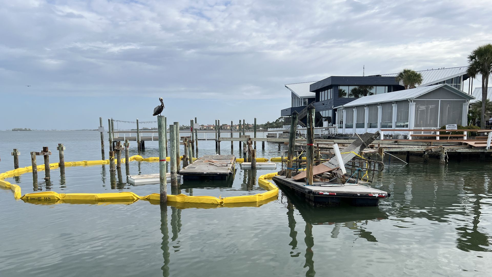Calm waterfront scene with a pelican perched on a weathered piling. A yellow containment boom surrounds a damaged floating dock; a modern building and palm trees line the pier under a cloudy sky.