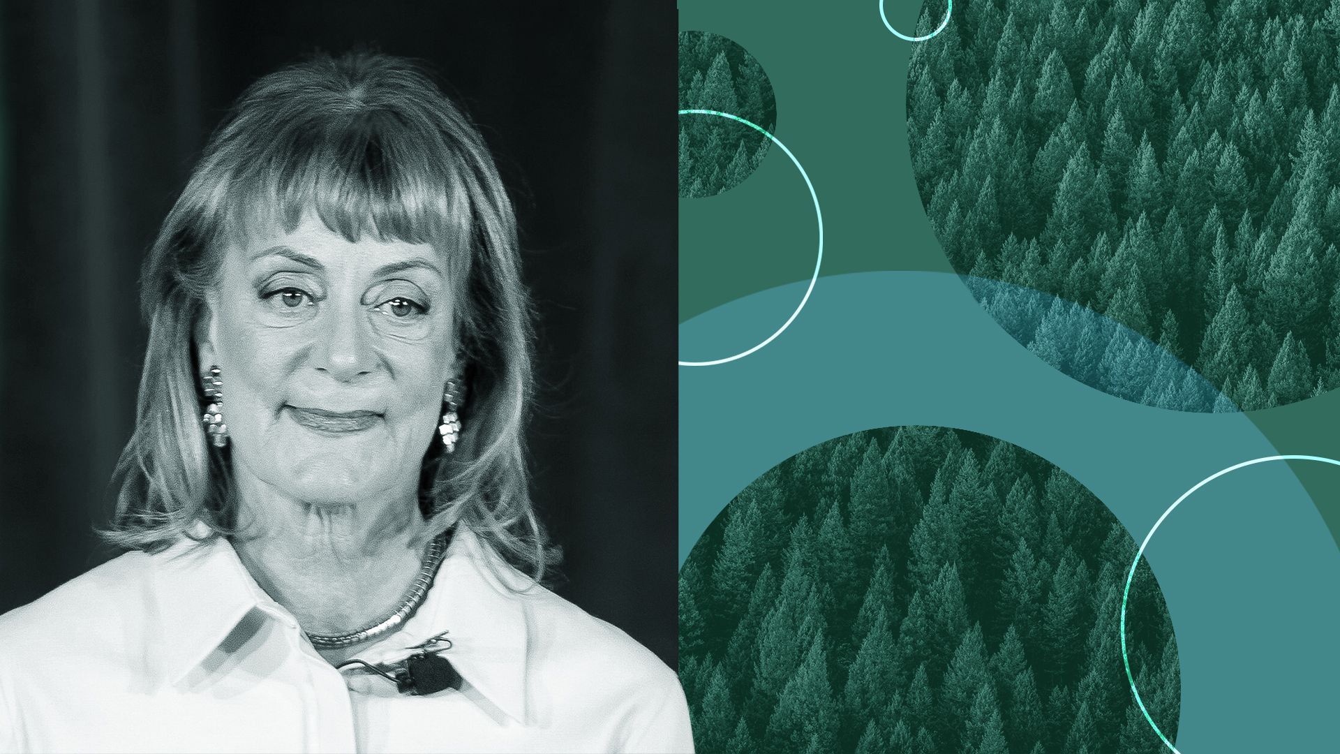 Illustration of Nancy Pfund of DBL Partners surrounded by circles and cutouts of a green landscape