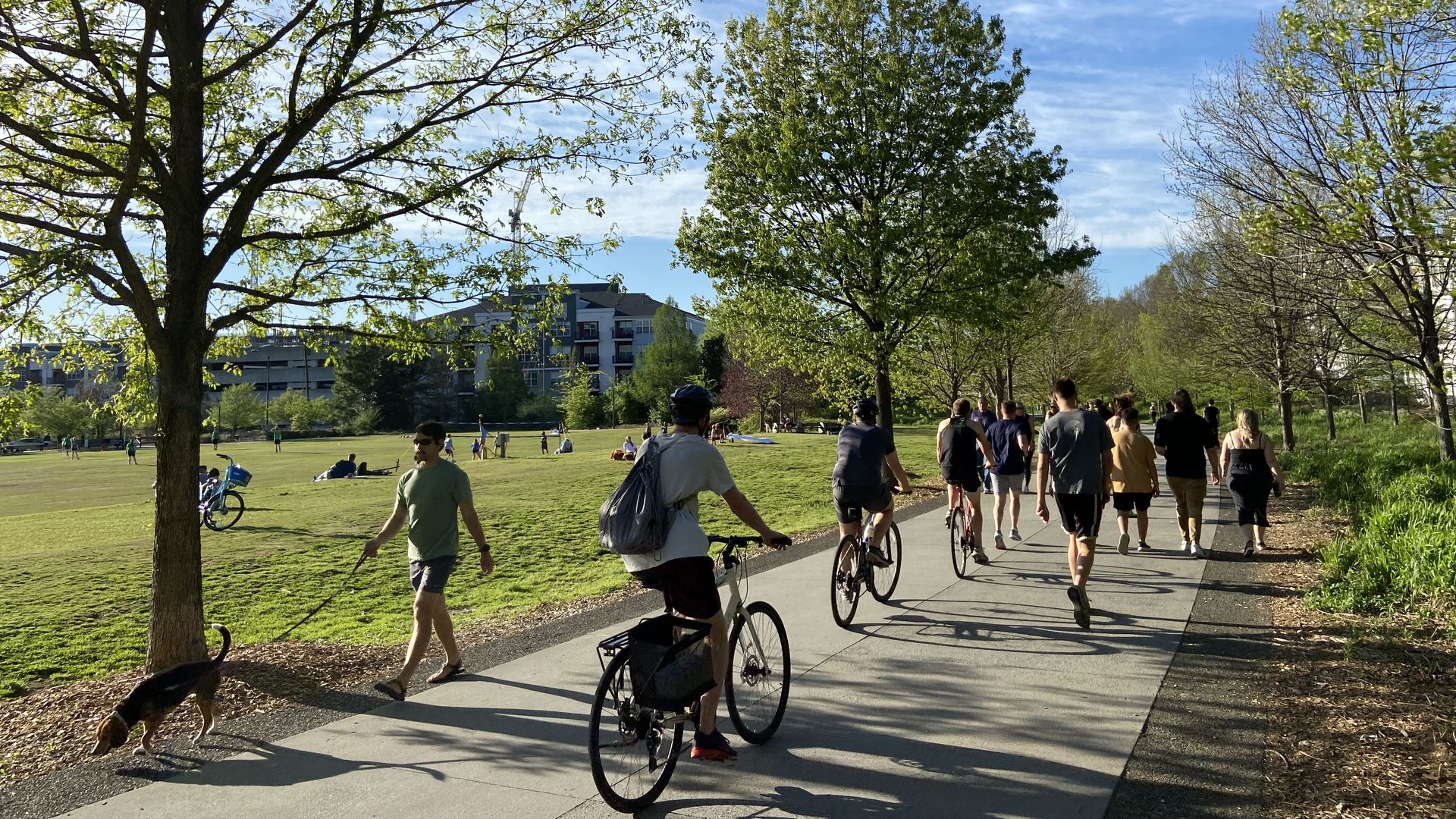 Sunlit park scene with a wide path, people walking and biking beside green grass and budding trees; a dog on a leash trots near the path, with buildings in the distance and a blue sky.