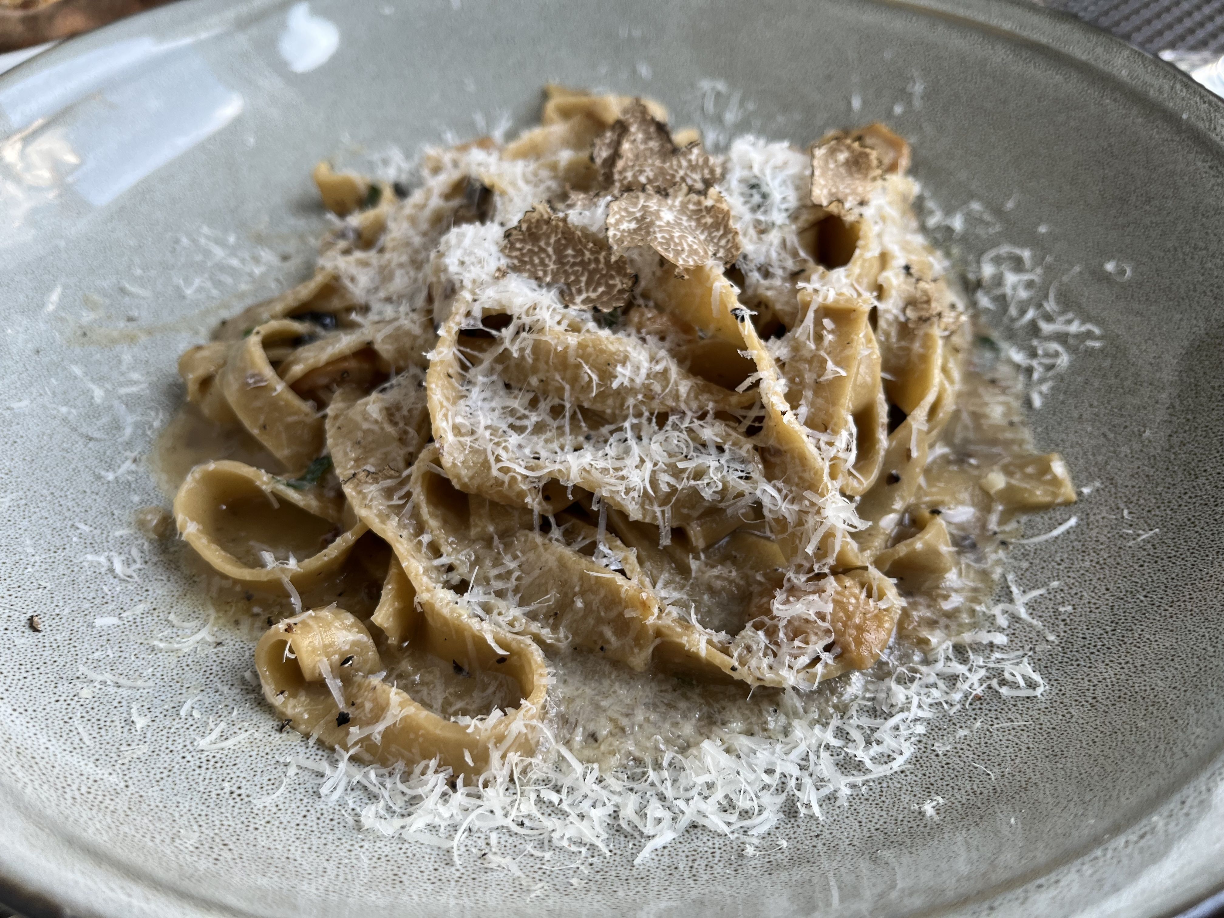Pasta on a light blue plate: tagliatelle with shaved truffles and grated cheese, in a creamy sauce.