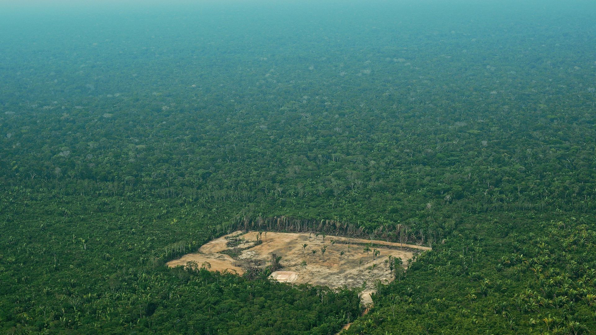 Brazil vote could decide fate of the  rainforest — and Earth