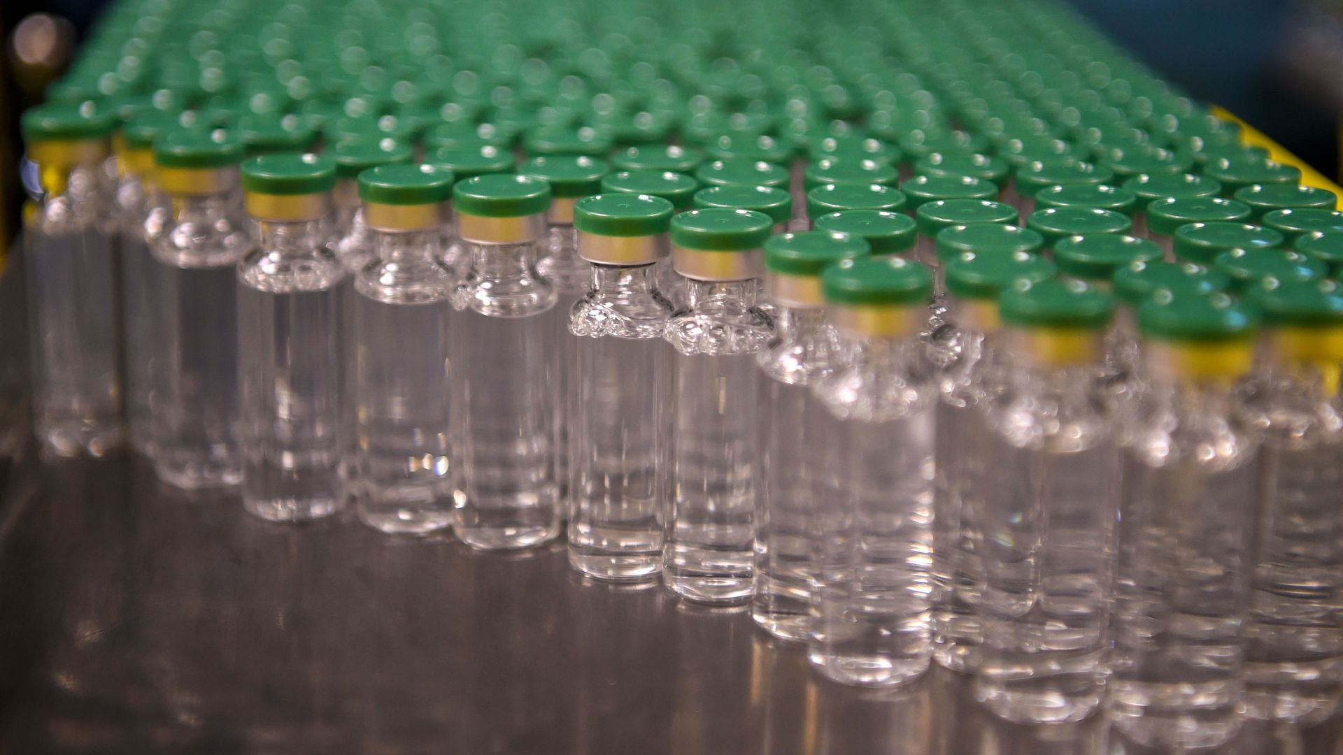 vaccine cultures
