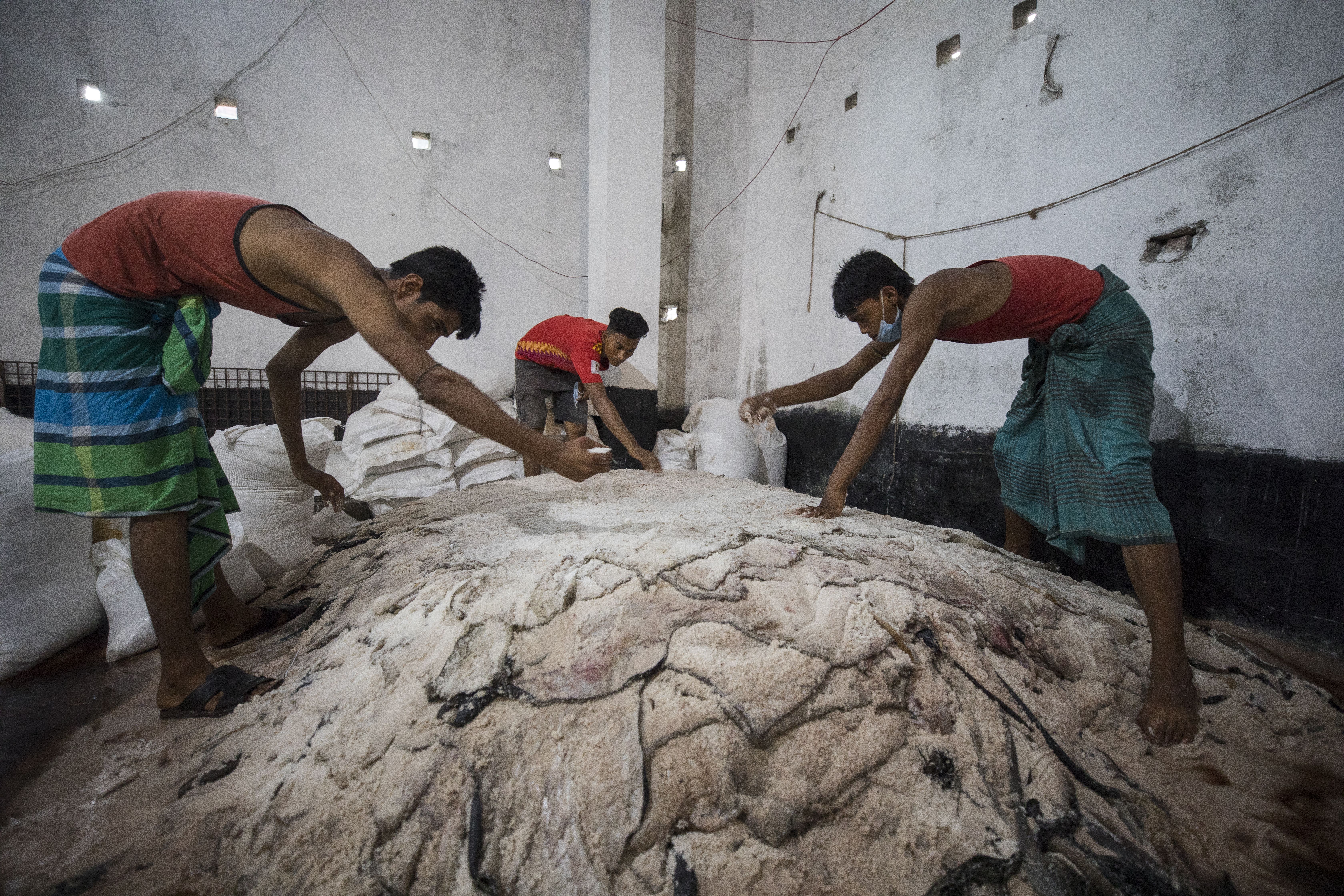 A group of workers tan animal hides 