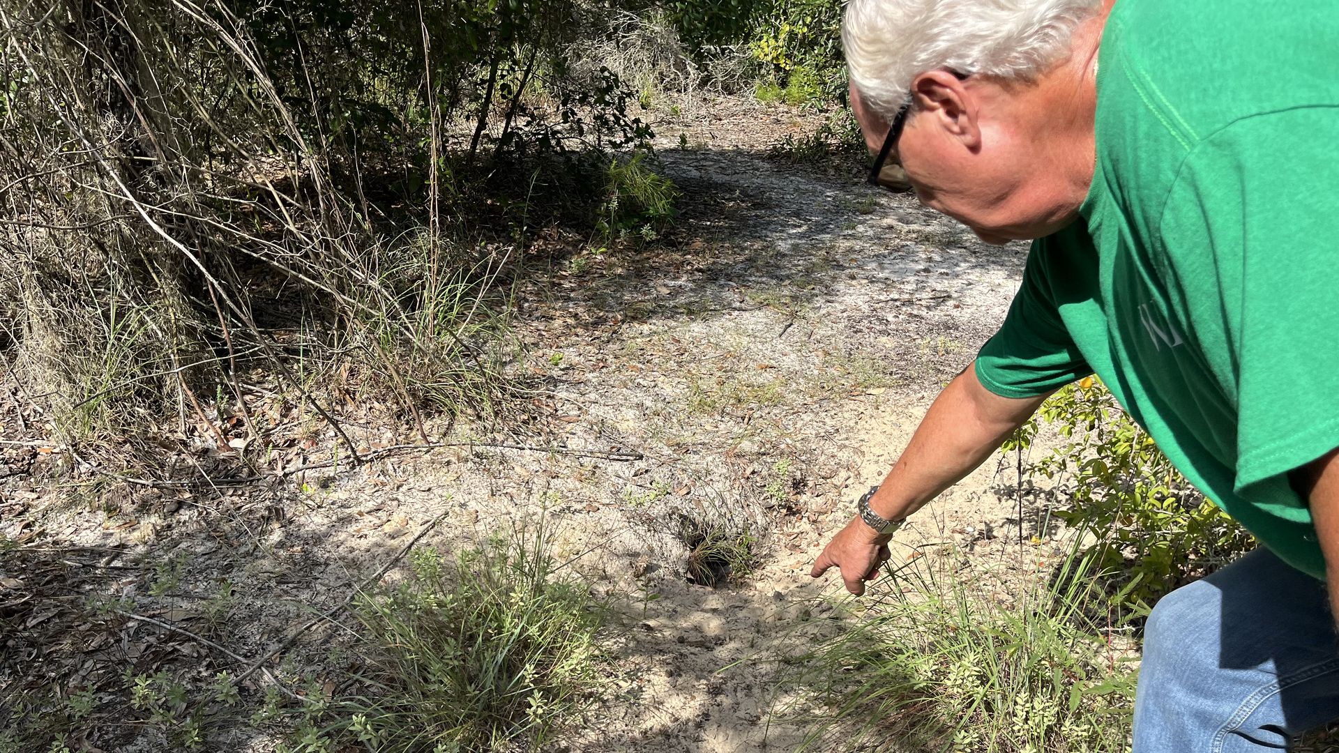 A man in a green T-shirt with white hair points to a hole in the dirt.