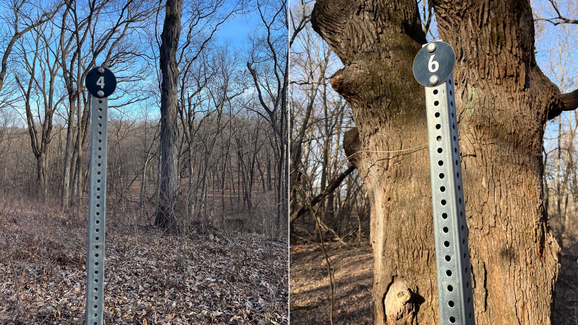 Signs were maps should be at