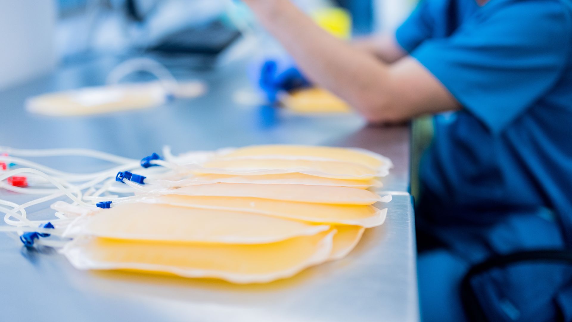 Bags of plasma sit in a lab.