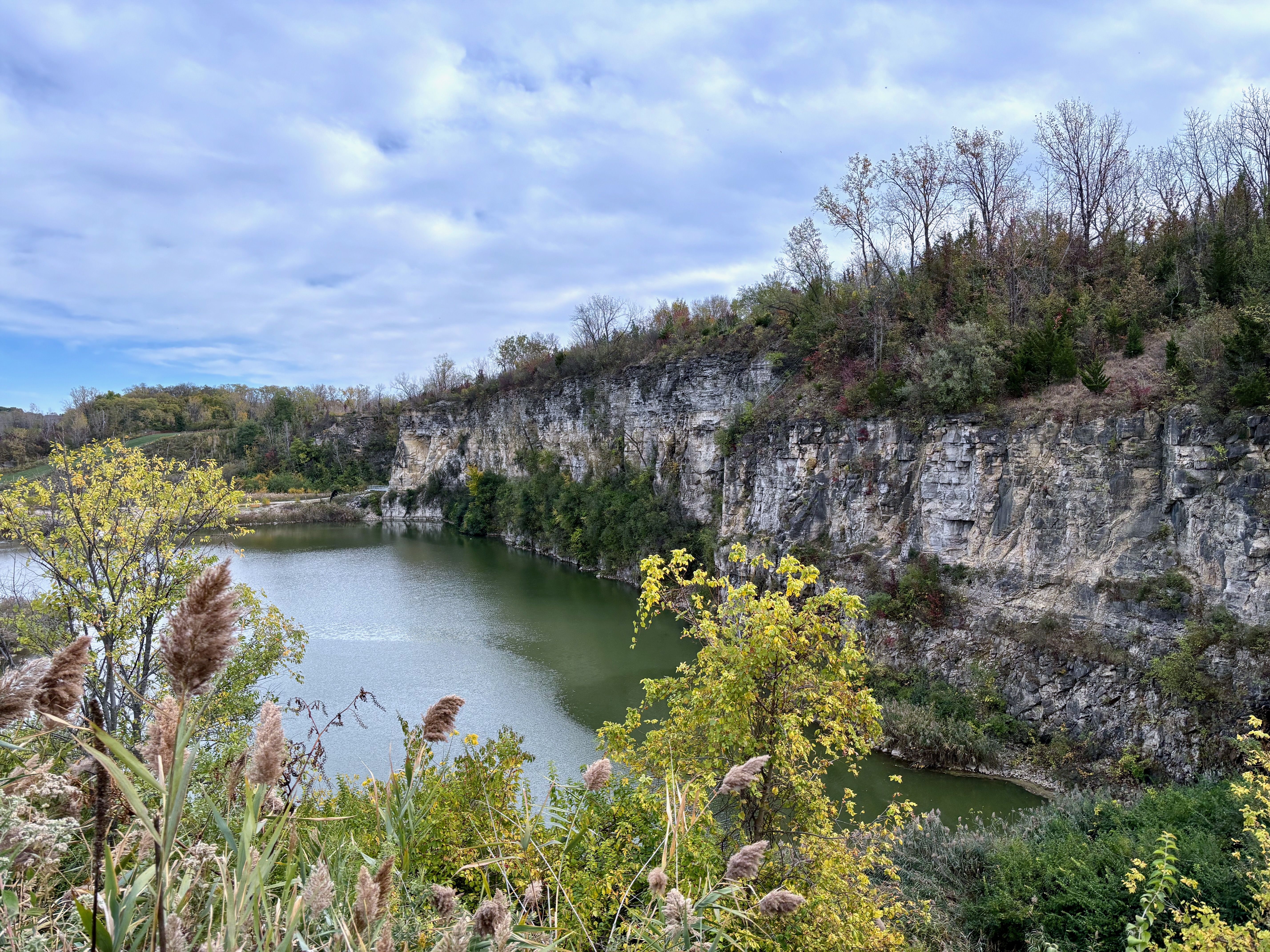 Greenish river flowing beside a tall rocky cliff with sparse trees and shrubs, under a cloudy sky with autumnal foliage in the foreground and background.