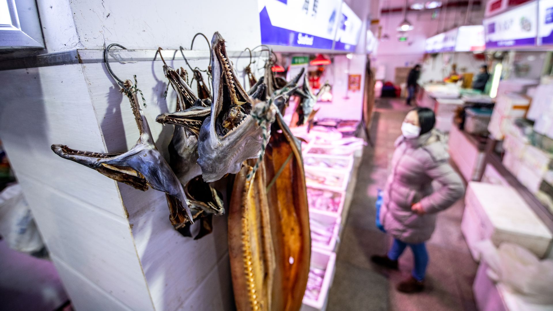 Image of live animal market Shanghai
